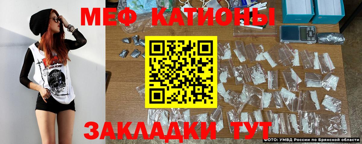   tor  МЯУ-МЯУ  Губкин  Вход с VPN  МЯУ-МЯУ мяу мяу 